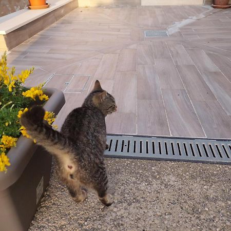 B&B Villa La Ginestra บอสโกเรอาเล ภายนอก รูปภาพ